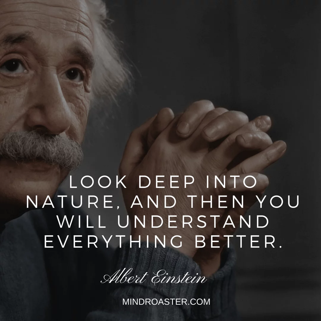 albert einstein quotes about life