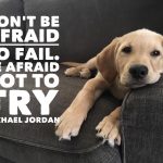 Never Give Up