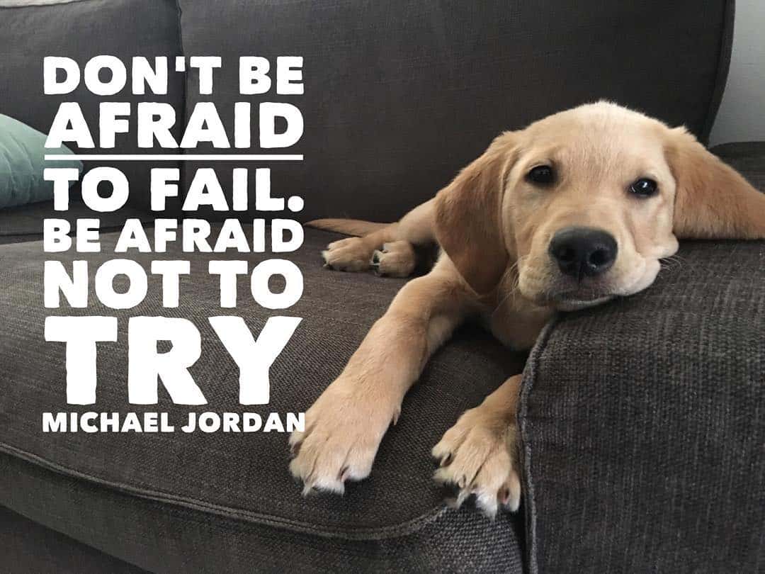 Never Give Up