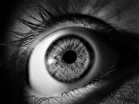 Quotes On Vision