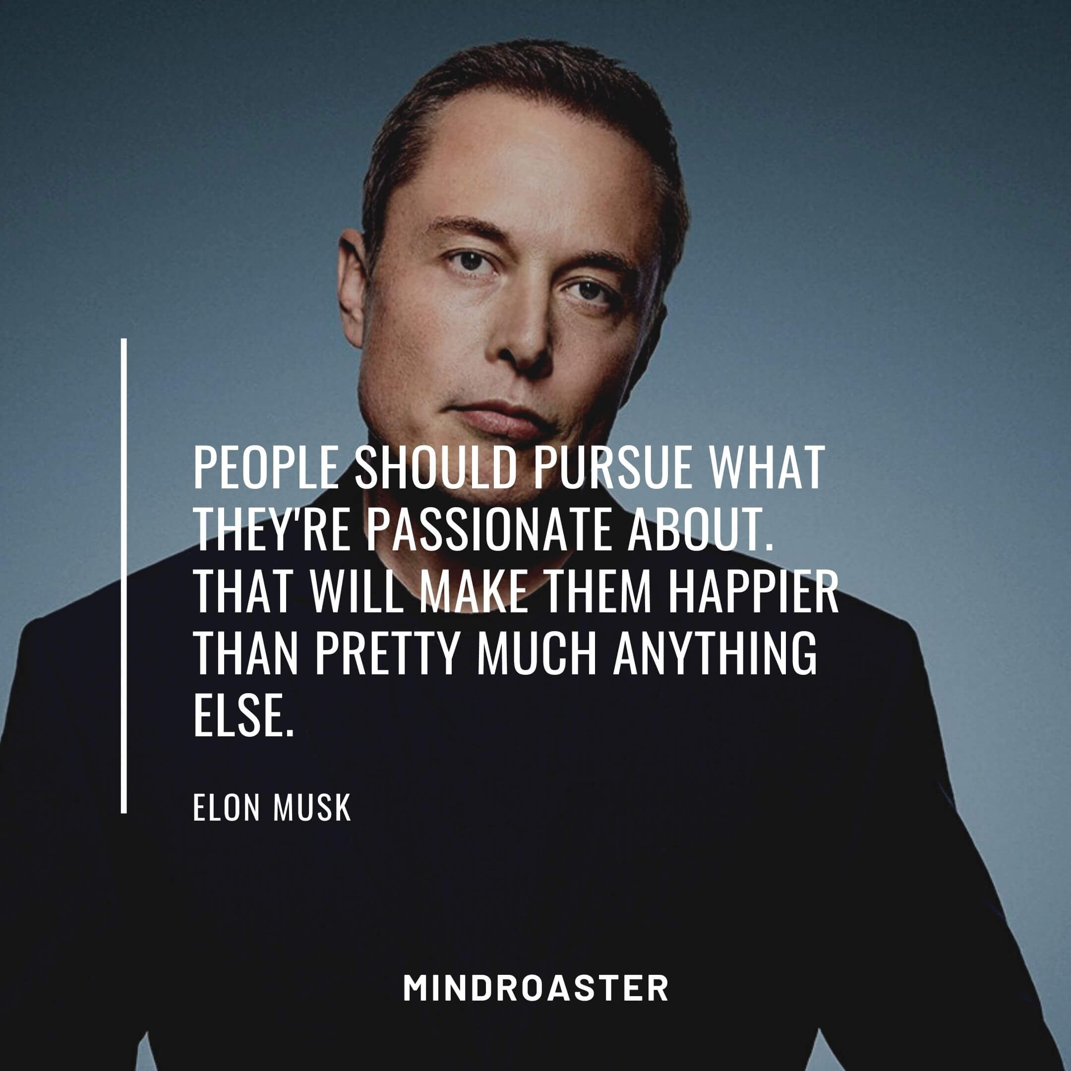 Success Quotes From Elon Musk