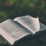 Wisdom Quotes That Will Inspire You To Success