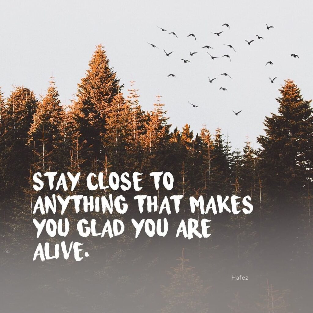Stay close to anything that makes you glad you are alive.