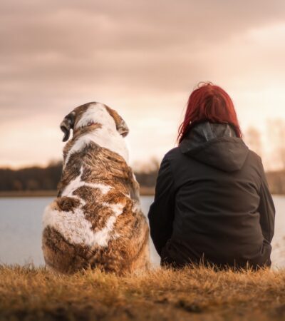 10 Life Lessons I've Learned From My Dog