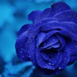 150+ Best Blue Captions For Instagram in 2023