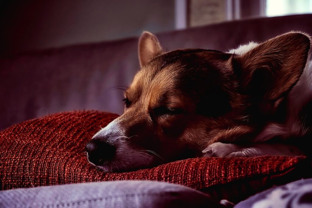 Take time to rest