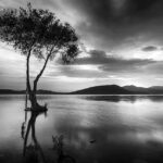 One Word Captions For Black And White Pictures For Instagram