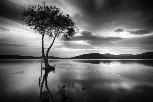 One Word Captions For Black And White Pictures For Instagram