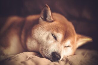 Subconscious Training During Sleep